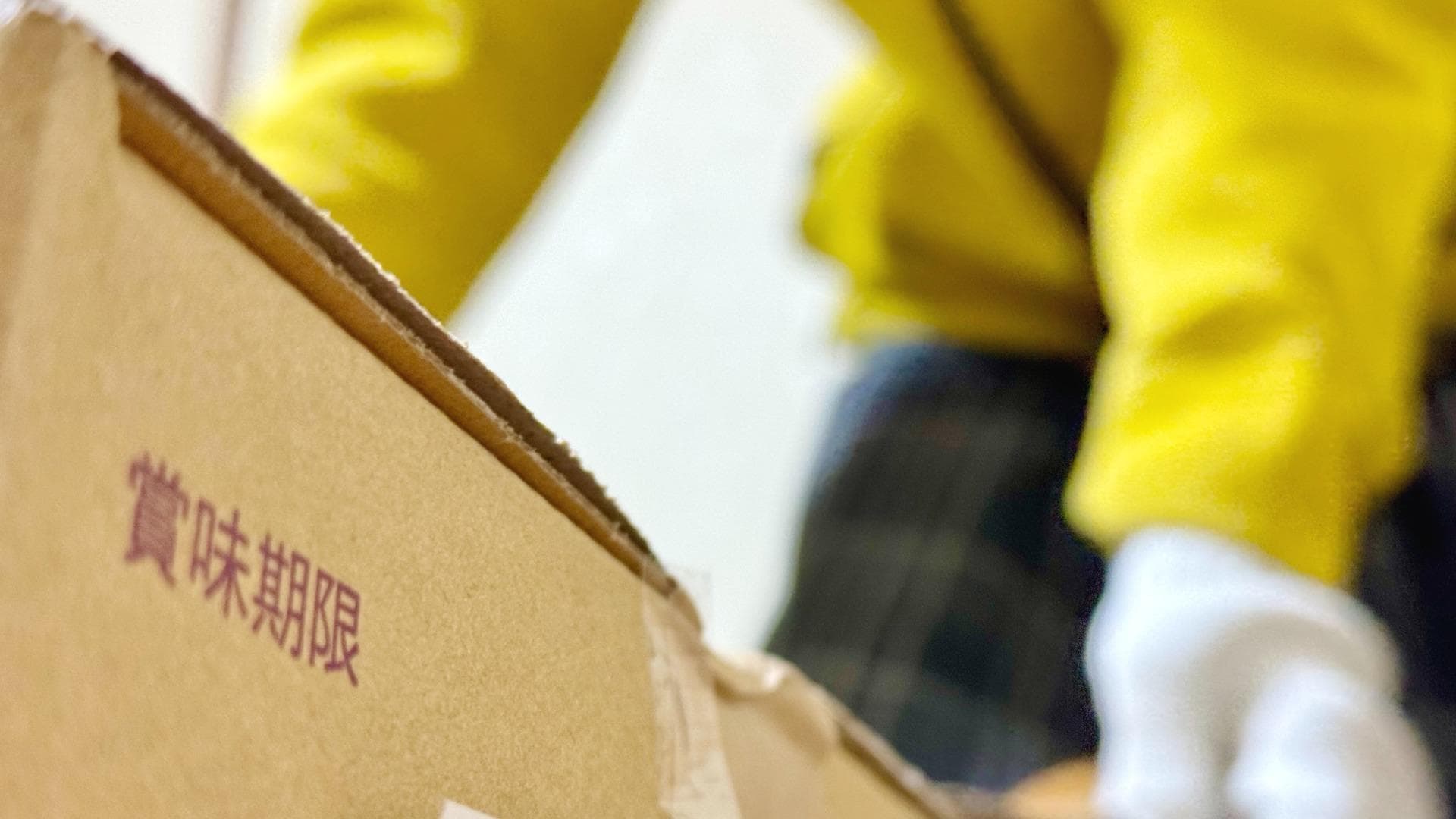 Aomori Earthquake: Uncovering Japanese Resilience