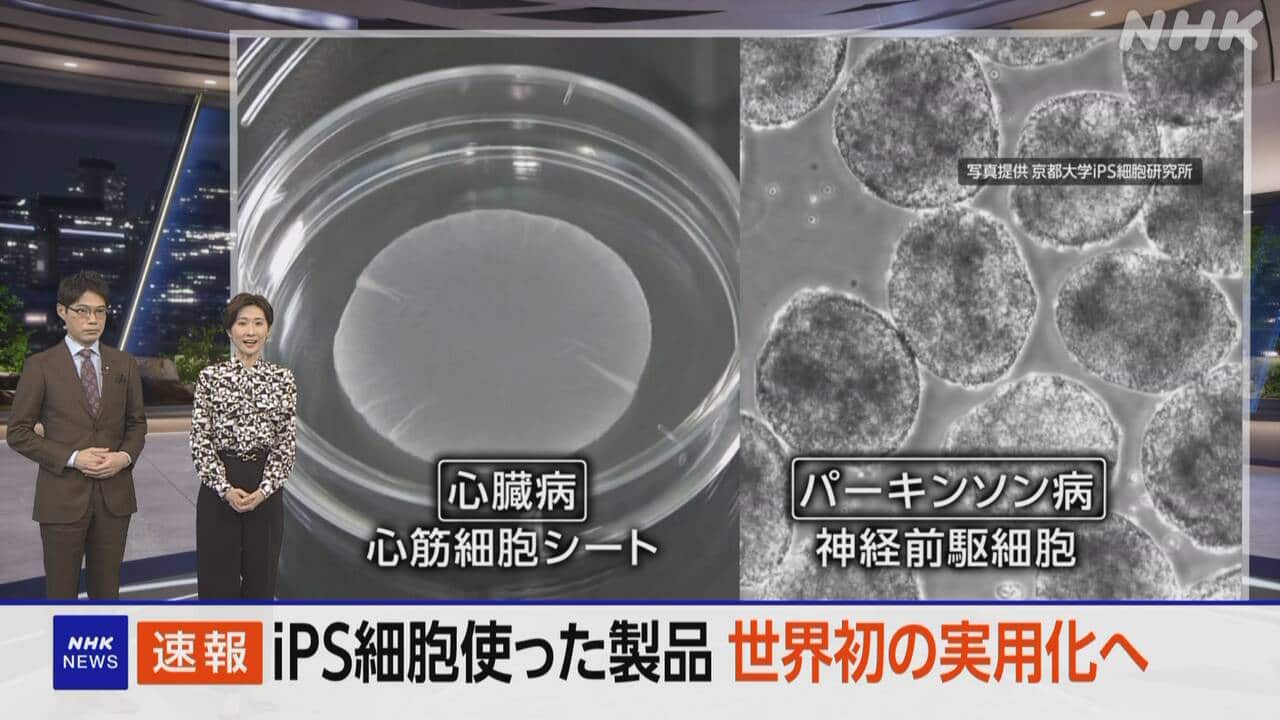 iPS Cell Therapy in Japan: Conditional Approval Plan