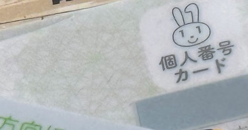 My Number Card for Kids in Japan: Hidden Pitfalls