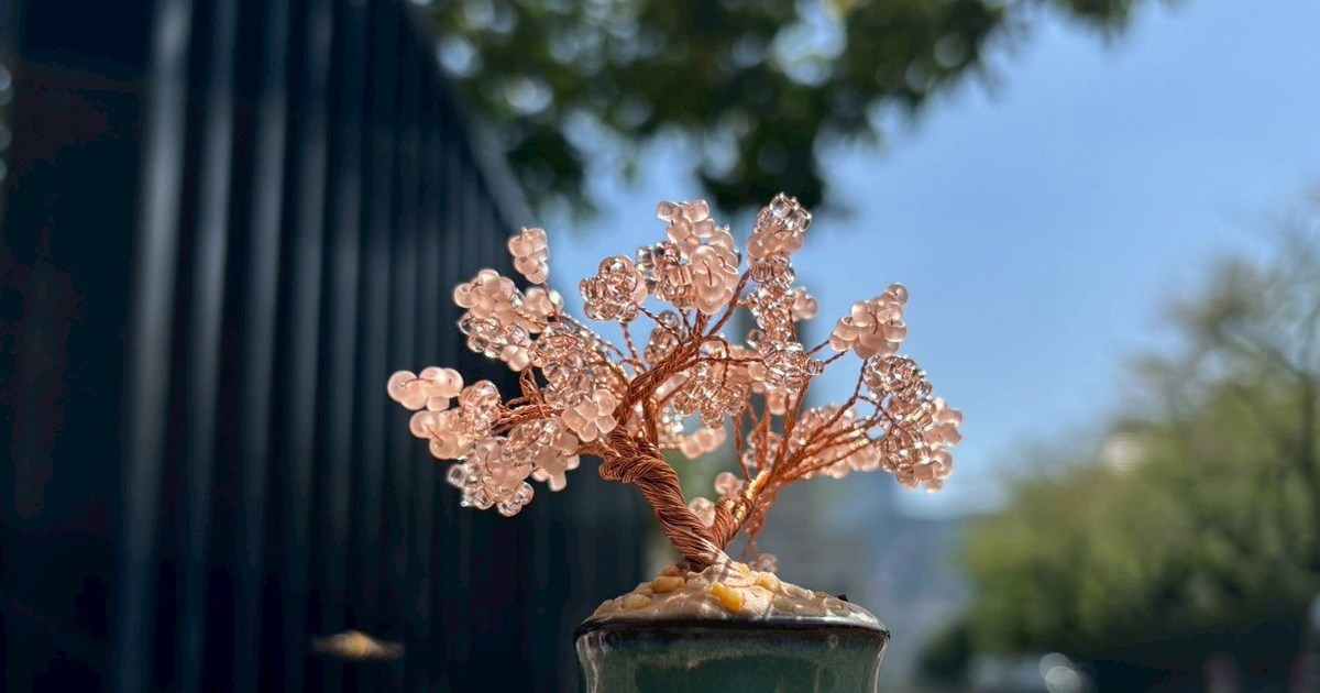 Nejitte Bonsai in Japan: DIY Sakura Took 5 Hours